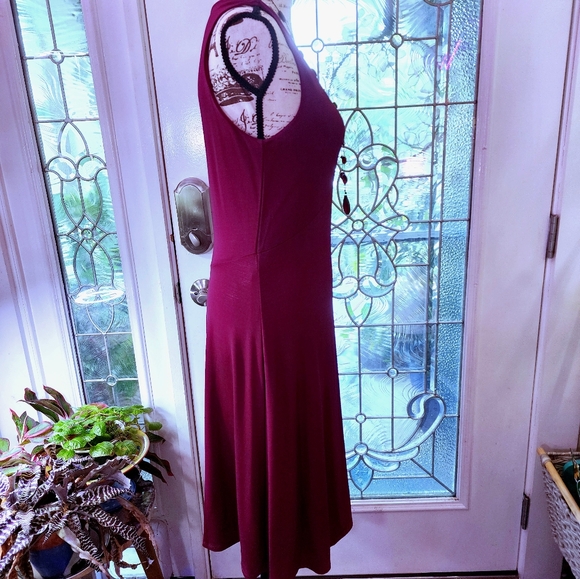Isabella Bird Fit & Flare Claret Dress MP - Picture 3 of 9